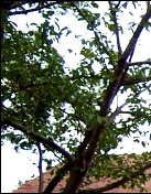 LAV'M Adult Residence